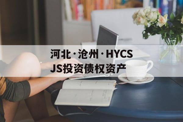 河北·沧州·HYCSJS投资债权资产-第1张图片-定融评测网