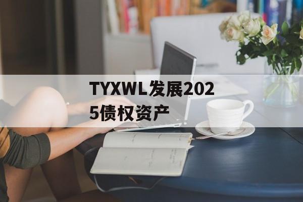 TYXWL发展2025债权资产-第1张图片-定融评测网