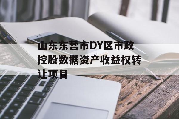 山东东营市DY区市政控股数据资产收益权转让项目-第1张图片-定融评测网