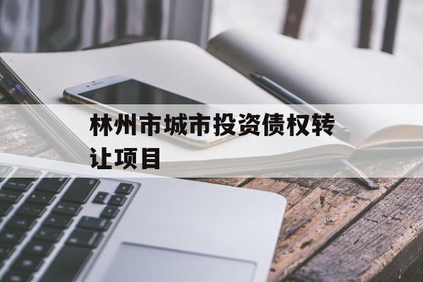 林州市城市投资债权转让项目-第1张图片-定融评测网