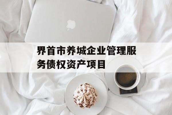 界首市养城企业管理服务债权资产项目-第1张图片-定融评测网