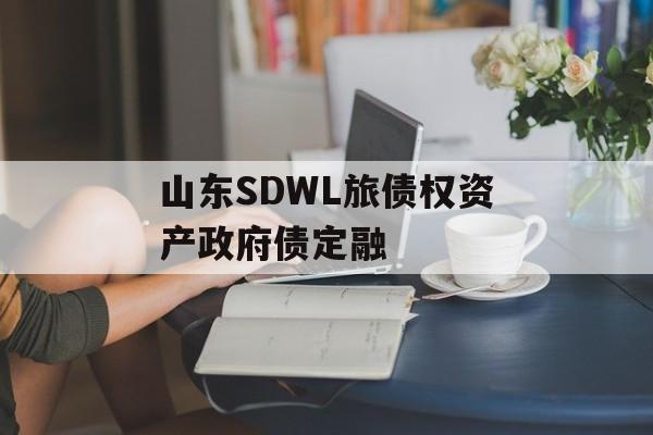 山东SDWL旅债权资产政府债定融-第1张图片-定融评测网