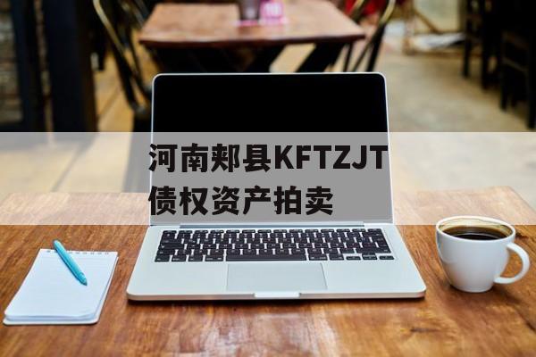 河南郏县KFTZJT债权资产拍卖-第1张图片-定融评测网