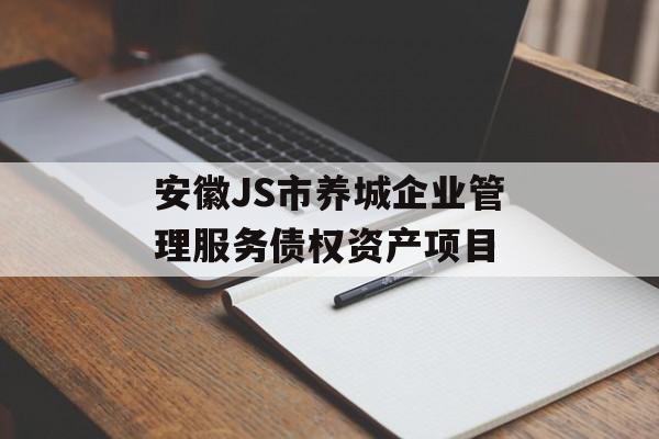 安徽JS市养城企业管理服务债权资产项目-第1张图片-定融评测网