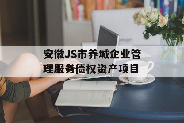 安徽JS市养城企业管理服务债权资产项目-第1张图片-定融评测网