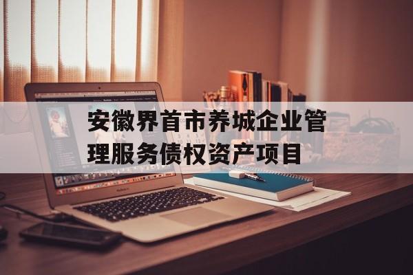 安徽界首市养城企业管理服务债权资产项目-第1张图片-定融评测网