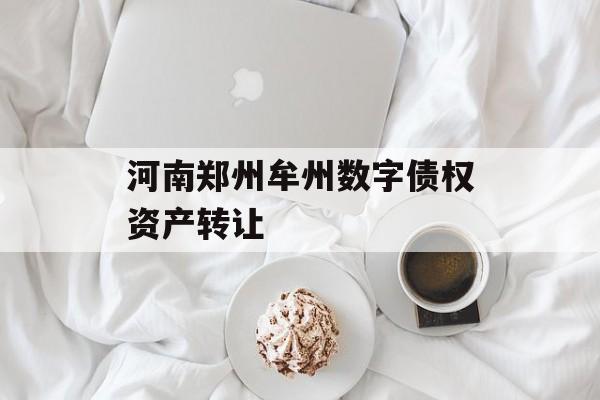 河南郑州牟州数字债权资产转让-第1张图片-定融评测网