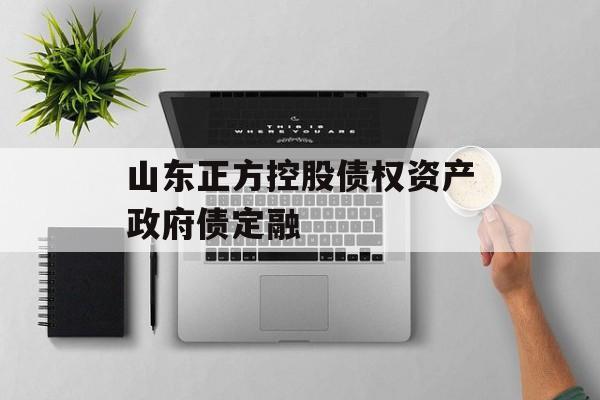山东正方控股债权资产政府债定融-第1张图片-定融评测网
