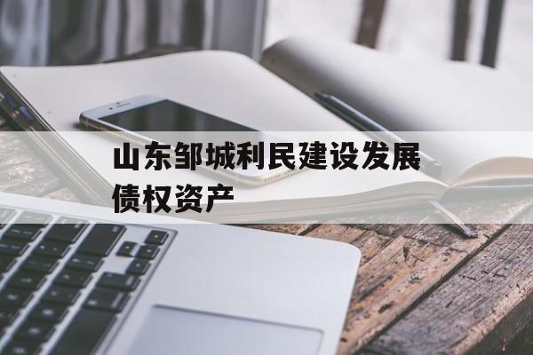 山东邹城利民建设发展债权资产-第1张图片-定融评测网
