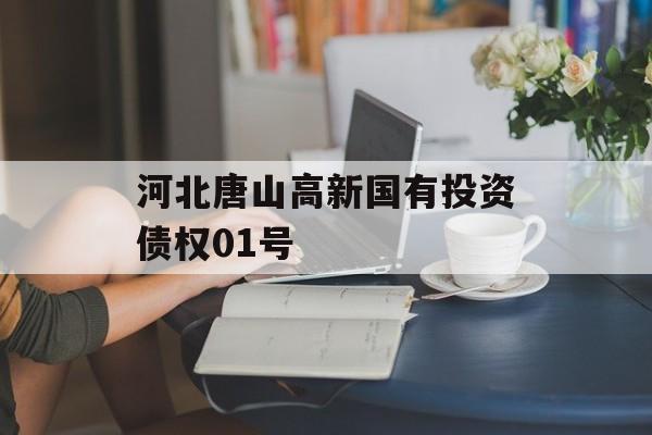 河北唐山高新国有投资债权01号-第1张图片-定融评测网
