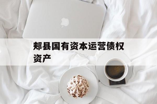 郏县国有资本运营债权资产-第1张图片-定融评测网