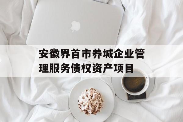 安徽界首市养城企业管理服务债权资产项目-第1张图片-定融评测网
