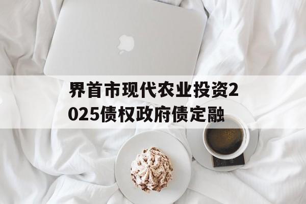 界首市现代农业投资2025债权政府债定融-第1张图片-定融评测网