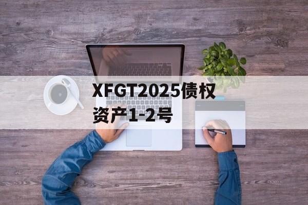 XFGT2025债权资产1-2号-第1张图片-定融评测网