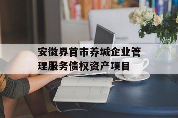 安徽界首市养城企业管理服务债权资产项目-第1张图片-定融评测网