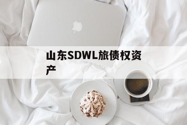 山东SDWL旅债权资产-第1张图片-定融评测网