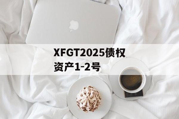 XFGT2025债权资产1-2号-第1张图片-定融评测网