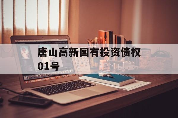 唐山高新国有投资债权01号-第1张图片-定融评测网