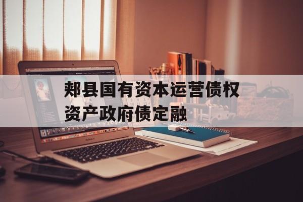 郏县国有资本运营债权资产政府债定融-第1张图片-定融评测网