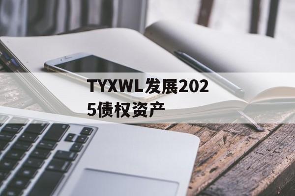 TYXWL发展2025债权资产-第1张图片-定融评测网