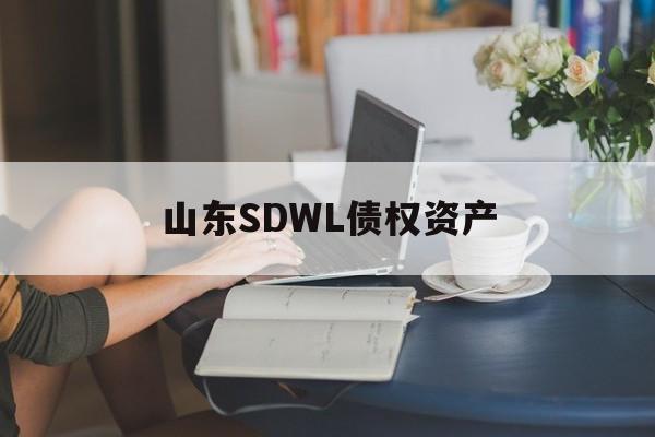 山东SDWL债权资产-第1张图片-定融评测网