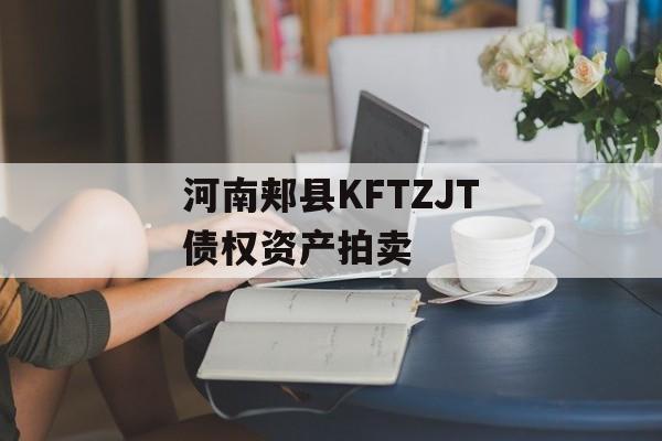 河南郏县KFTZJT债权资产拍卖-第1张图片-定融评测网