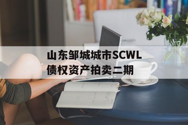 山东邹城城市SCWL债权资产拍卖二期-第1张图片-定融评测网