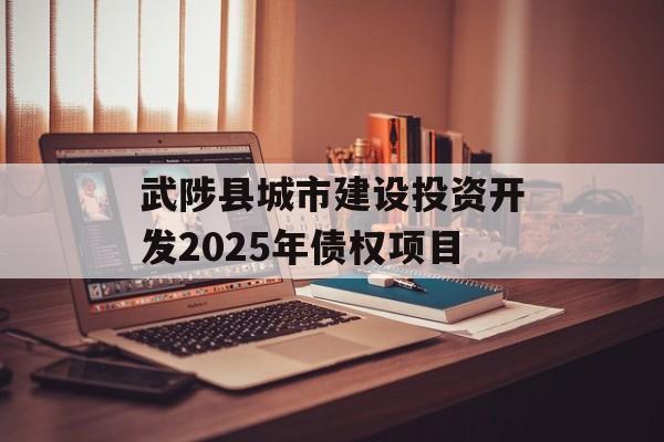 武陟县城市建设投资开发2025年债权项目-第1张图片-定融评测网