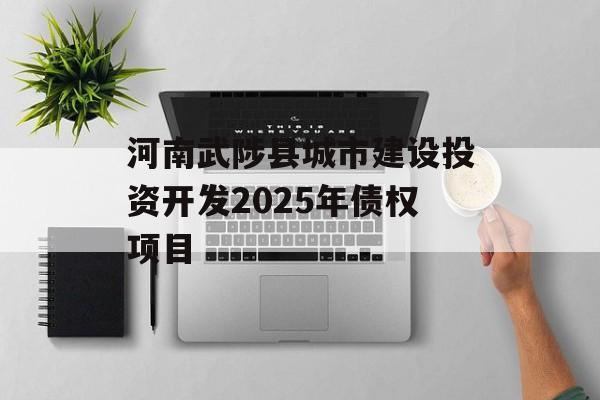 河南武陟县城市建设投资开发2025年债权项目-第1张图片-定融评测网