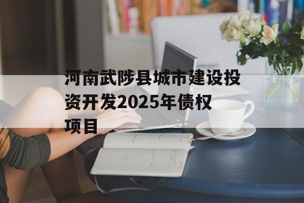 河南武陟县城市建设投资开发2025年债权项目-第1张图片-定融评测网