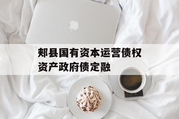 郏县国有资本运营债权资产政府债定融-第1张图片-定融评测网