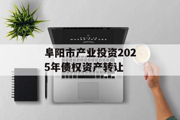 阜阳市产业投资2025年债权资产转让-第1张图片-定融评测网