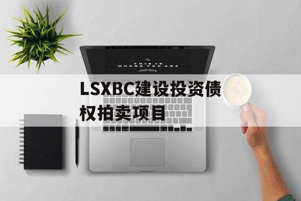 LSXBC建设投资债权拍卖项目-第1张图片-定融评测网