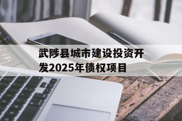 武陟县城市建设投资开发2025年债权项目-第1张图片-定融评测网