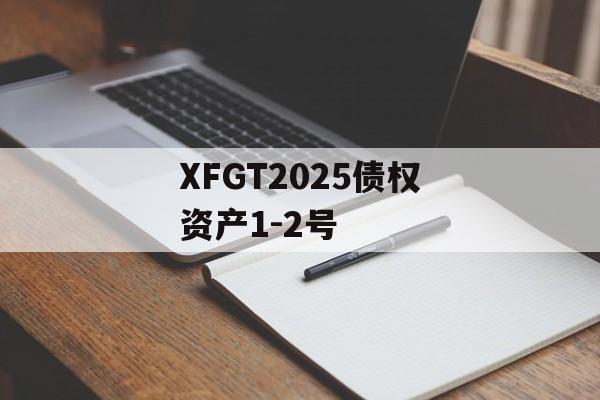 XFGT2025债权资产1-2号-第1张图片-定融评测网