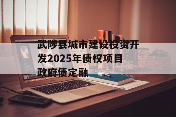 武陟县城市建设投资开发2025年债权项目政府债定融-第1张图片-定融评测网