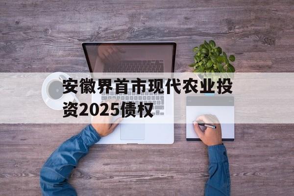 安徽界首市现代农业投资2025债权-第1张图片-定融评测网