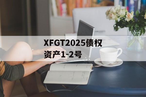XFGT2025债权资产1-2号-第1张图片-定融评测网