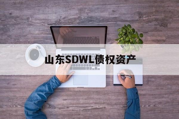 山东SDWL债权资产-第1张图片-定融评测网