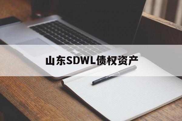 山东SDWL债权资产-第1张图片-定融评测网
