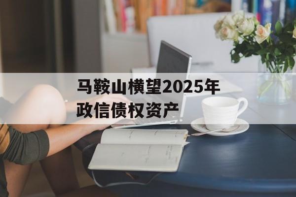 马鞍山横望2025年政信债权资产-第1张图片-定融评测网