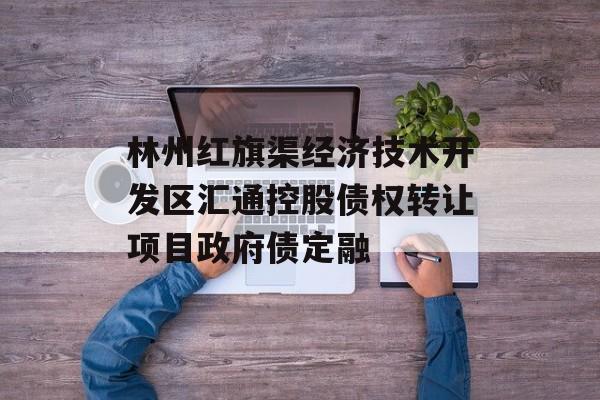 林州红旗渠经济技术开发区汇通控股债权转让项目政府债定融-第1张图片-定融评测网