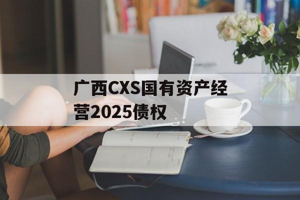 广西CXS国有资产经营2025债权-第1张图片-定融评测网