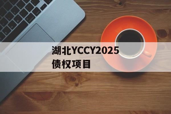 湖北YCCY2025债权项目-第1张图片-定融评测网
