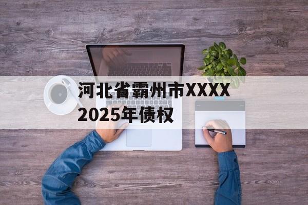 河北省霸州市XXXX2025年债权-第1张图片-定融评测网
