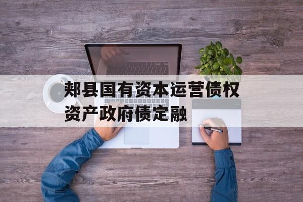 郏县国有资本运营债权资产政府债定融-第1张图片-定融评测网