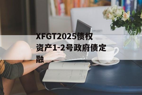 XFGT2025债权资产1-2号政府债定融-第1张图片-定融评测网