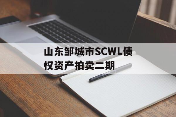 山东邹城市SCWL债权资产拍卖二期-第1张图片-定融评测网