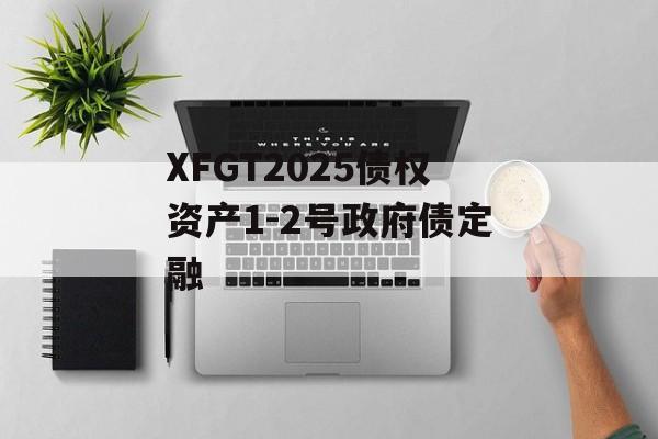 XFGT2025债权资产1-2号政府债定融-第1张图片-定融评测网
