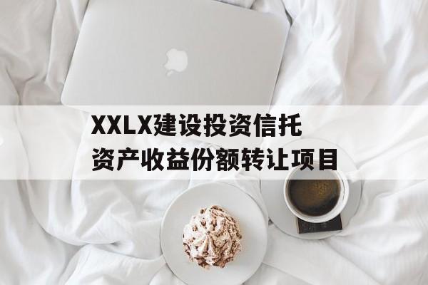 XXLX建设投资信托资产收益份额转让项目-第1张图片-定融评测网